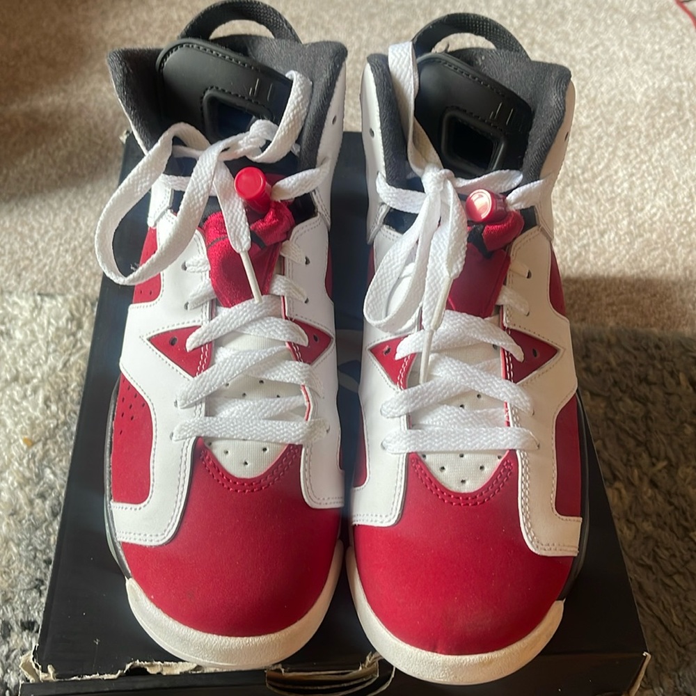 Jordan Carmine 6s